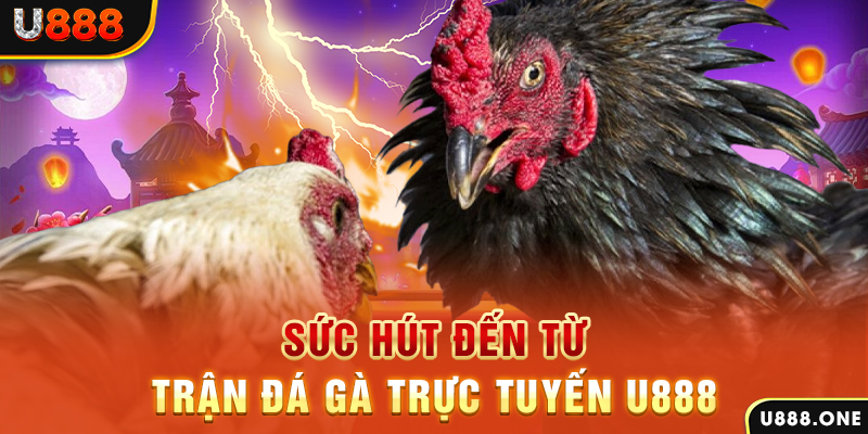 đá gà trực tiếp c1