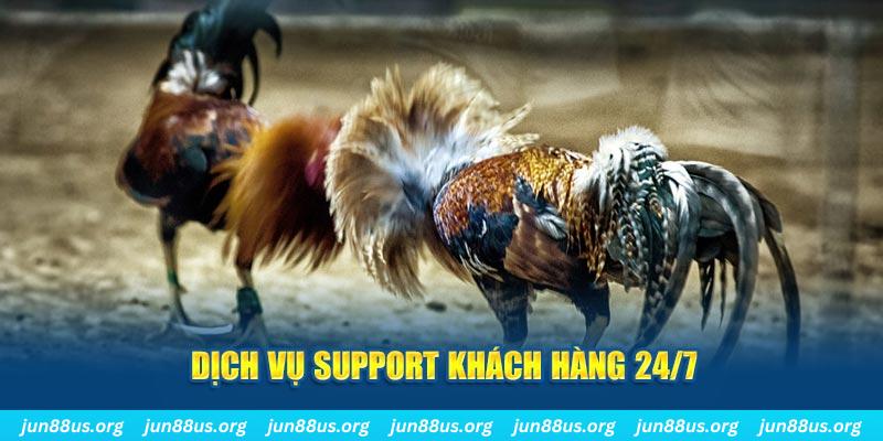 77king88 ÁT CHỦ BÀI GIÀNH LẤY ZHUANG NIUNIU ( XEM 4 LÁ )