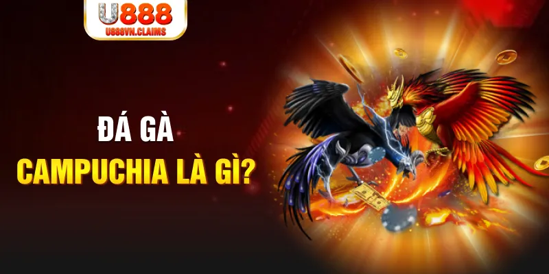 77king88 bắn cá vàng h5
