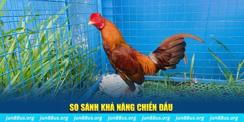 77king88 CQ9 Điện Tử