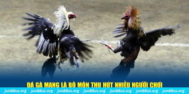 77king88 bắn cá au88