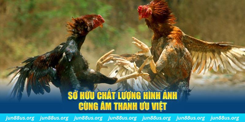 77king88 PP Điện Tử