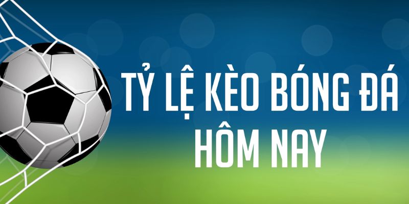 77king88 gà chọi c1 mới nhất