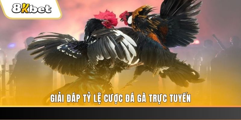 77king88 xổ số đài miền trung