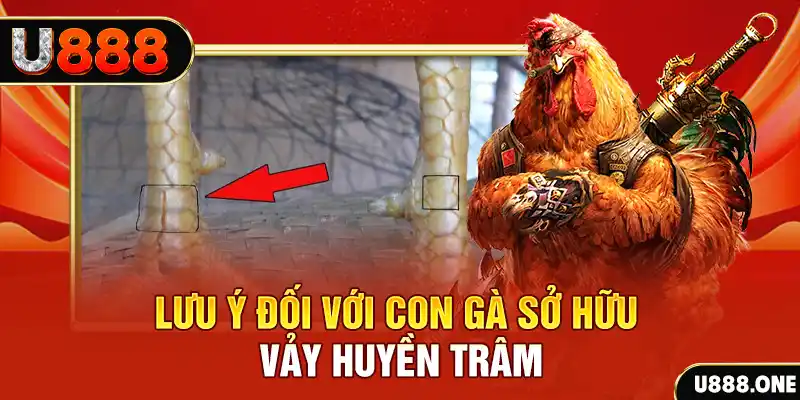 77king88 kết quả xổ số miền nam hôm nay
