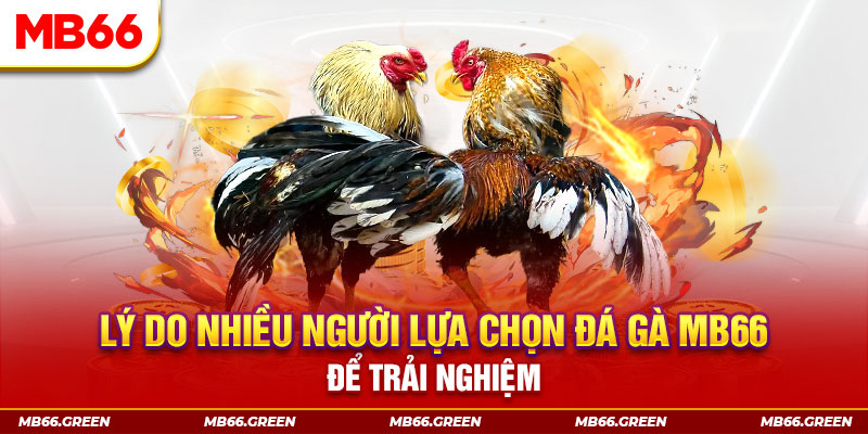 77king88 xổ số miền bắc thứ bảy hàng tuần