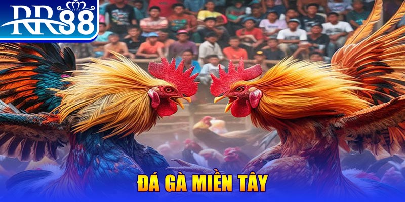 77king88 no hu doi thuong ai