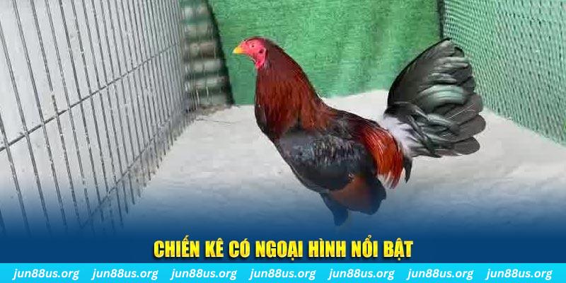 77king88 game nổ hũ là gì