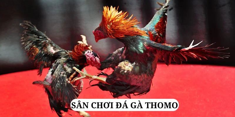 77king88 trực tiếp xổ số miền bắc